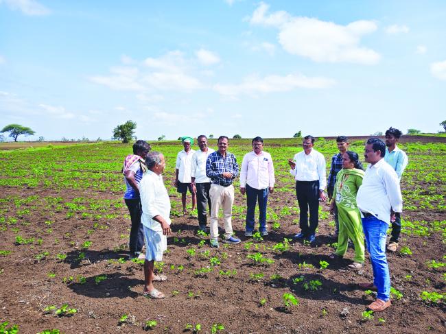 ಸೋಯಾಬಿನ್ ಬೆಳೆಗೆ ಪೀಡೆ ಸಮೀಕ್ಷೆ: ತಂಡ ಭೇಟಿ  