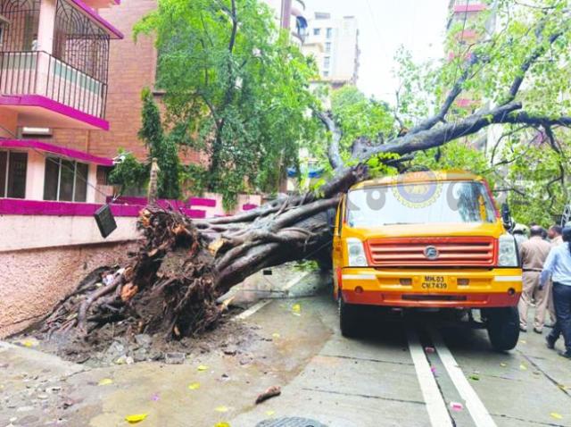 ಮುಂಬೈನ ಚೆಂಬೂರಿನಲ್ಲಿ ಶಾಲಾ ಬಸ್ ಮೇಲೆ ಮರ ಉರುಳಿ ಬಿದ್ದು ವಿದ್ಯಾರ್ಥಿ ಸಾವು; ನಾಲ್ವರಿಗೆ ಗಾಯ