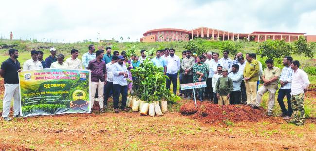 ನರೇಗಾ ನೌಕರರ ಕ್ಷೇಮಾಭಿವೃದ್ಧಿ ಸಂಘದಿಂದ ವನಮಹೋತ್ಸವ ಆಚರಣೆ  