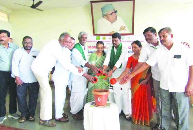 ರಸಗೊಬ್ಬರ ವಿತರಣೆ, ಮಣ್ಣು ಆರೋಗ್ಯ, ನೀರಾವರಿ ನಿರ್ವಹಣೆ ಮತ್ತು ತಾಂತ್ರಿಕ ತರಬೇತಿ ಕುರಿತು ಅಧಿಕಾರಿಗಳಿಂದ ಮಾರ್ಗದರ್ಶನ