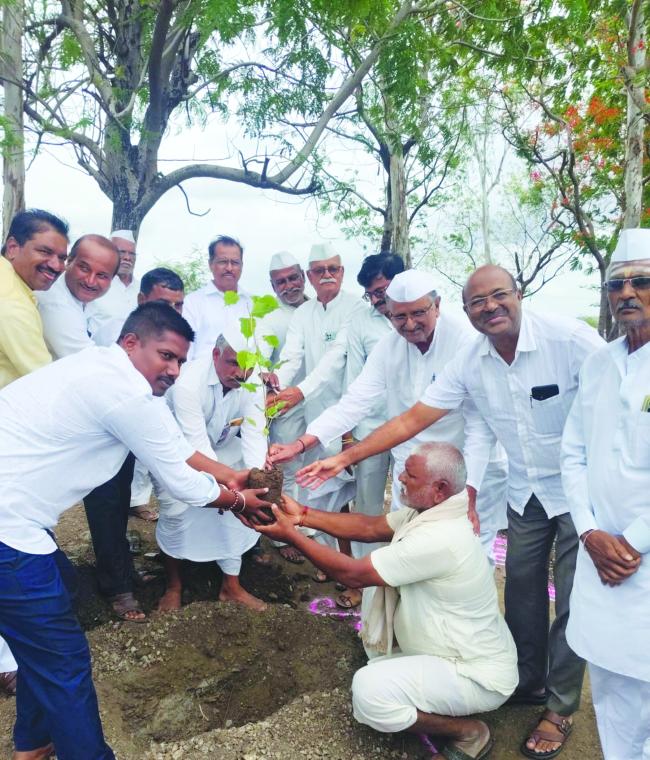 ಸಸಿ ನೆಡುವ ಮೂಲಕ ಕಾರ್ಯಕ್ರಮಕ್ಕೆ ಚಾಲನೆ 