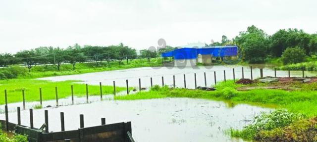 ಸತತ ಮಳೆಗೆ ಬಳ್ಳಾರಿ ನಾಲಾ ಉಕ್ಕಿ ಹರಿವು: ರೈತರಲ್ಲಿ ಆತಂಕ  
