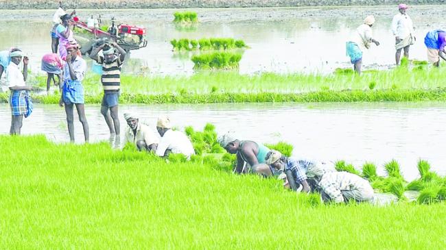 ರೂ. 50,000 ಮರುಪಾವತಿ ಷರತ್ತು ರದ್ದು: ಮಹಾರಾಷ್ಟ್ರದಲ್ಲಿ 56 ಲಕ್ಷ ರೈತರಿಗೆ ರೂ. 2 ಲಕ್ಷ ಸಾಲ ಮನ್ನಾ