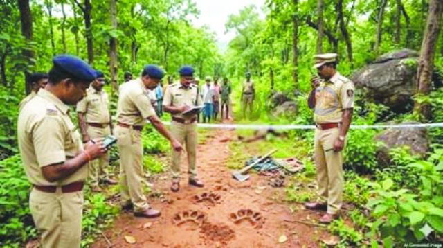 ಚಂದ್ರಪುರ ಅರಣ್ಯದಲ್ಲಿ ಕಾಡುಪ್ರಾಣಿ ದಾಳಿಗೆ ಯುವಕ ಬಲಿ