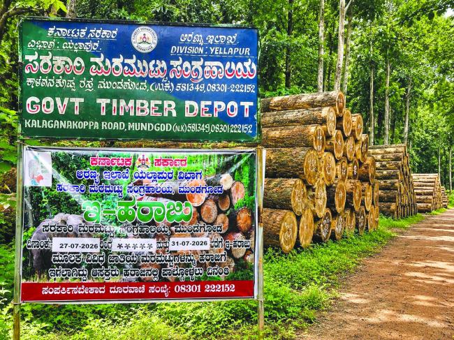 ಮುಂಡಗೋಡ ಟಿಂಬರ್ ಡಿಪೋದಲ್ಲಿ ಇ-ಟೆಂಡರ್ ಅಕ್ರಮದ ಆರೋಪ: ತನಿಖೆಗೆ ಆಗ್ರಹ  