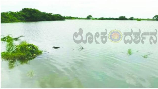 ಭೀಮಾ ನದಿ ದಡದ ಜನರು ಕಟ್ಟೆಚ್ಚರ:  ನಾಗೇಂದ್ರ ಕೋಳಶೆಟ್ಟಿ 