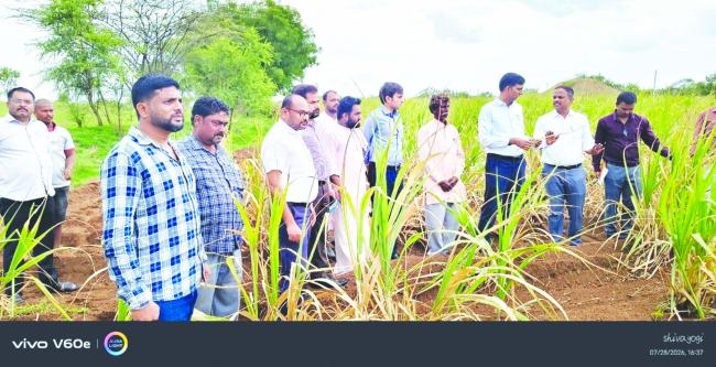 ಮಳೆ ಕೊರತೆ ಹಿನ್ನೆಲೆ ಬೆಳೆ ಪರೀಶೀಲಿಸಿದ ಜಿಲ್ಲಾಧಿಕಾರಿ  