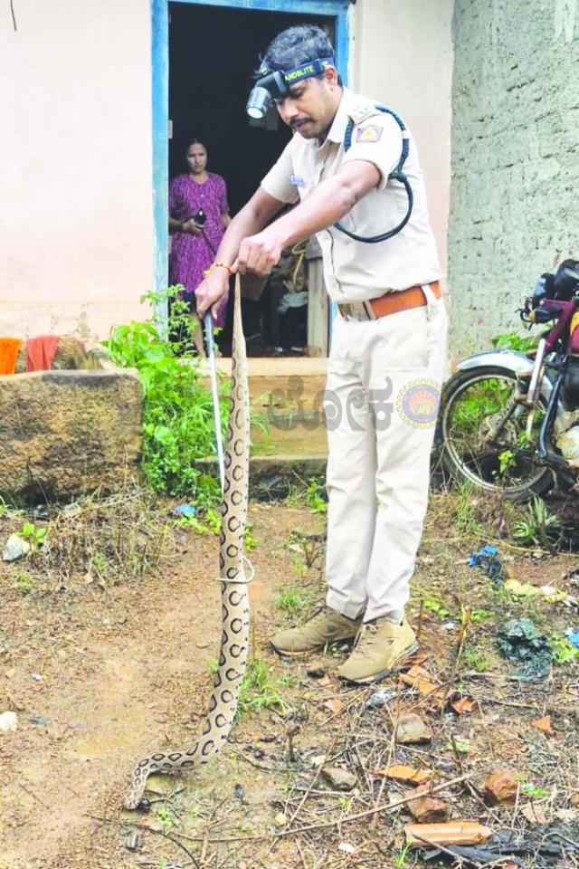 ಮನೆಯೊಳಗೆ ನುಗ್ಗಿದ್ದ ಕೊಳಕುಮಂಡಲ ಹಾವು ಸುರಕ್ಷಿತ ರಕ್ಷಣೆ  
