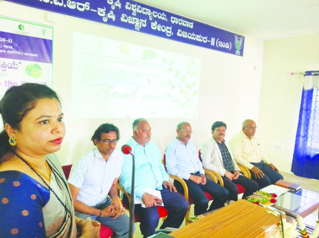 ನಿಂಬೆ ವಿದೇಶಕ್ಕೆ ರು​‍್ತ: ಡಾ ನಾಗವೇಣಿ