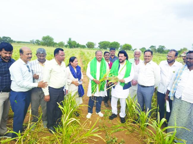 ಸಿರುಗುಪ್ಪದಲ್ಲಿ ಬರ ಪರಿಸ್ಥಿತಿ ಪರೀಶೀಲನೆ: ರೈತರ ಬೆಳೆ ನಷ್ಟಕ್ಕೆ ಪರಿಹಾರ ಒದಗಿಸಲು ಕ್ರಮ : ಸಚಿವ ಬಿ. ನಾಗೇಂದ್ರ  
