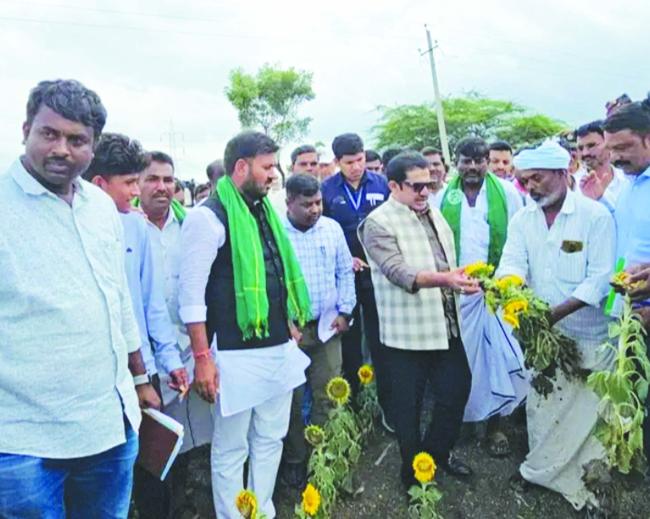 ಮಳೆ ಕೊರತೆಯಿಂದ ಬೆಳೆ ನಷ್ಟ: ಪರಿಹಾರಕ್ಕೆ ರೈತರ ಮನವಿ  