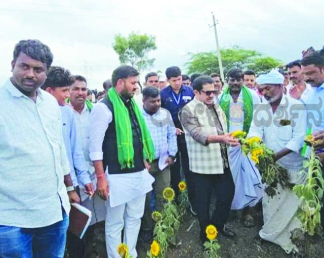ಮಳೆ ಕೊರತೆ: ಬರಪೀಡಿತ ಪ್ರದೇಶಗಳಿಗೆ ಸಚಿವ ಜಮೀರ್ ಭೇಟಿ  
