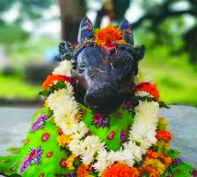 ಸಮೀರವಾಡಿ-ಸೈದಾಪುರದಲ್ಲಿ ಶ್ರೀ ಬಸವಣ್ಣನ ಜಾತ್ರೆ  