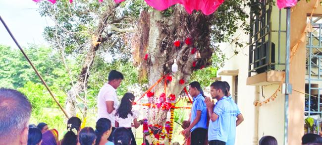   ನಾಗದೇವತೆಗೆ ವಿಶೇಷ ಪೂಜೆ; ನೂರಾರು ಮಹಿಳೆಯರಿಂದ ಹಾಲೆರೆಯುವ ಮೂಲಕ ಪ್ರಾರ್ಥನೆ 