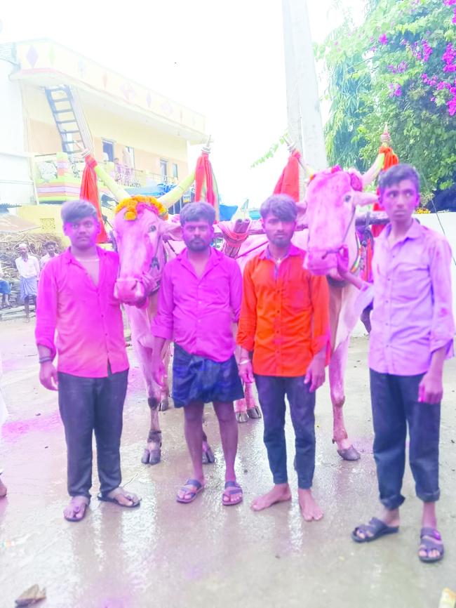 ಘಂಟೆಗಳಲ್ಲಿ 24 ಎಕರೆ ಹತ್ತಿ ಹೊಲ ಉಳಿಮೆ  
