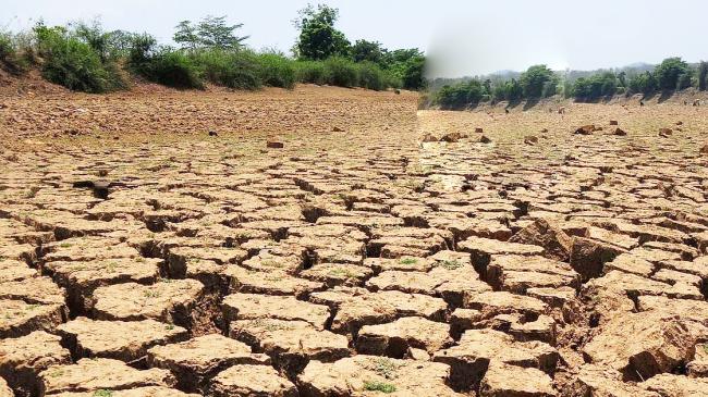 ಕರ್ನಾಟಕದಲ್ಲಿ ಬರ ಘೋಷಣೆಗೆ ಸಿದ್ಧತೆ: ಬೆಳೆ ನಷ್ಟ, ಬೆಲೆ ಕುಸಿತದಿಂದ ರೈತರು ಸಂಕಷ್ಟದಲ್ಲಿ