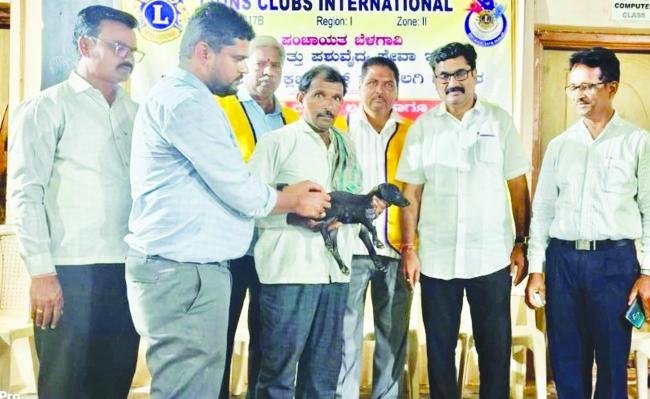 ರೇಬೀಸ್ ರೋಗದ ಬಗ್ಗೆ ಎಚ್ಚರ ಇರಲಿ : ಡಾ. ಮೋಹನ ಕಮತ
