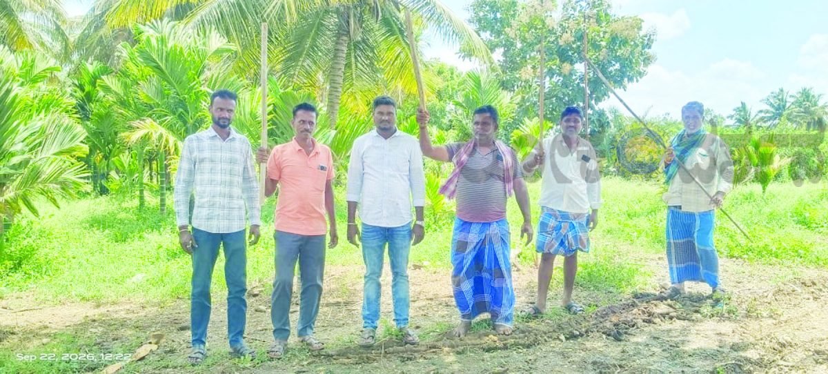 ಹುಲ್ಲತ್ತಿ ಗ್ರಾಮದಲ್ಲಿ ಎರಡು ಮರಿಗಳೊಂದಿಗೆ ಹೆಣ್ಣು ಚಿರತೆ ಪ್ರತ್ಯಕ್ಷ: ಆತಂಕದಲ್ಲಿ ಗ್ರಾಮಸ್ಥರು; ಬಂದನಕ್ಕೆ ರೈತರ ಆಗ್ರಹ