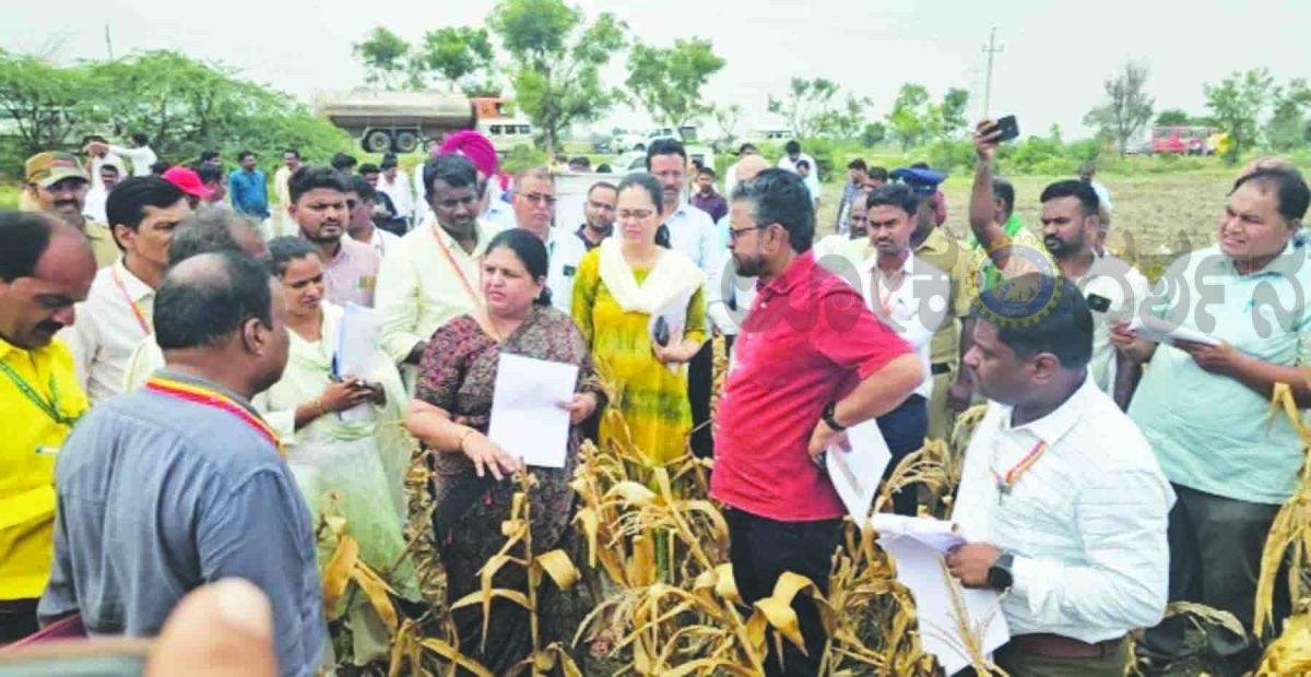 ಕೇಂದ್ರ ತಂಡಕ್ಕೆ ’ಬರ’ದ ಮನವರಿಕೆ,ಮೆಕ್ಕೆಜೋಳ ಬೆಳೆ ಹಾನಿ