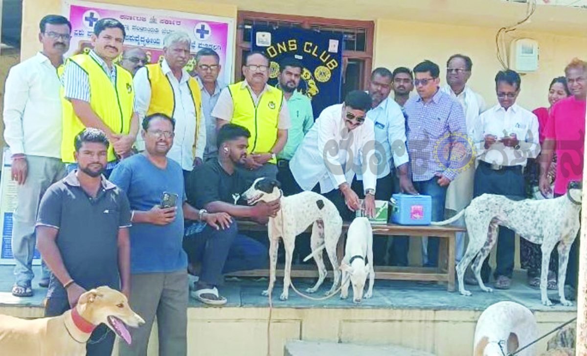 ನಾಯಿಗಳಿಗೆ ಕಡ್ಡಾಯವಾಗಿ ರೇಬೀಸ್ ಲಸಿಕೆ ಹಾಕಿಸಬೇಕು