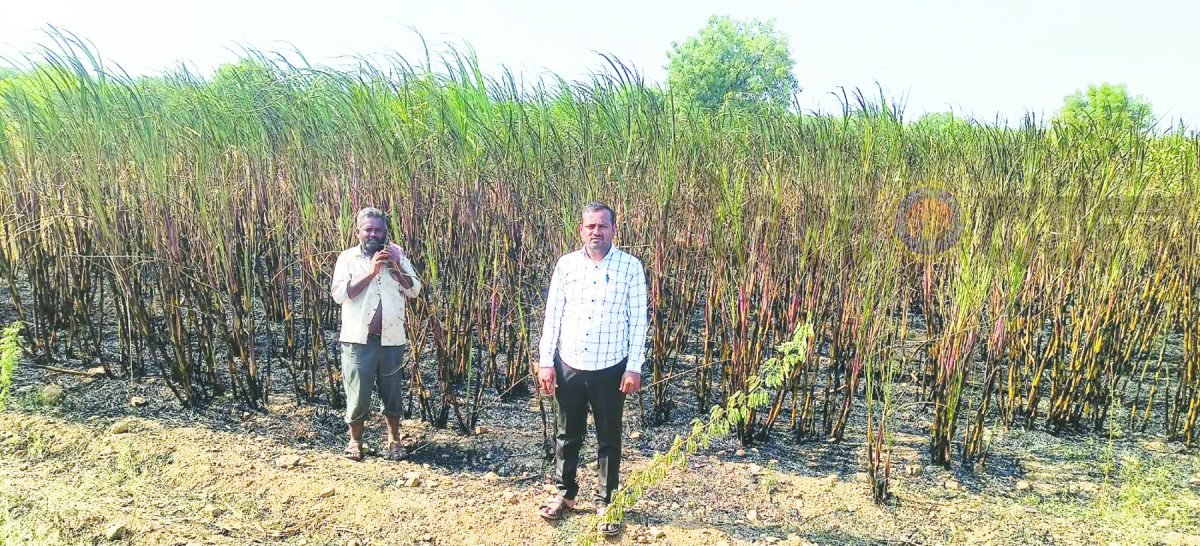 ವಿದ್ಯುತ್ ಶಾರ್ಟ್‌ ಸರ್ಕಿಟ್‌ನಿಂದ ಕಬ್ಬು ಬೆಳೆ ಸುಟ್ಟು ಭಾರಿ ನಷ್ಟ