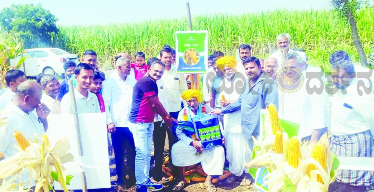 ಎಕರೆಗೆ 34 ಕ್ವಿಂಟಲ್ ಮೆಕ್ಕೆಜೋಳ ಬೆಳೆದ ರೈತನ ಸಾಧನೆ