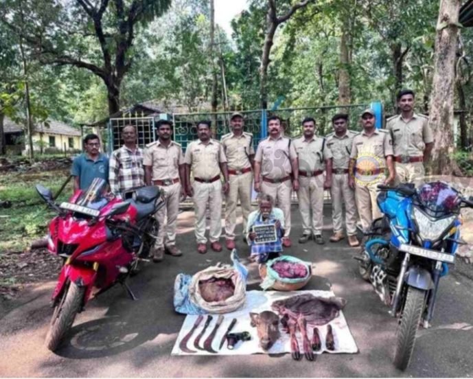 ಕಡವೆ ಬೇಟೆ ; ಓರ್ವನ ಬಂಧನ