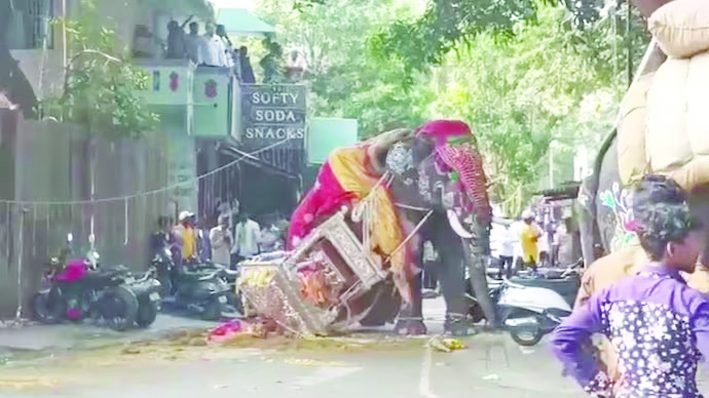 ಶಿವಮೊಗ್ಗ ದಸರಾ ಮೆರವಣಿಗೆಯಲ್ಲಿ ಆನೆ ದಾಂಧಲೆ; ನೆಲಕ್ಕುರುಳಿದ ಬೆಳ್ಳಿ ಅಂಬಾರಿ
