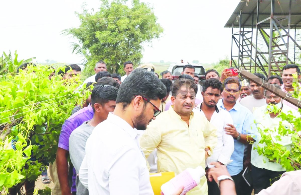 ರೈತರು ಯಾವುದೇ ಕಾಲಕ್ಕೂ ನೋವು ಉಂಟು ಮಾಡುವ ಸ್ಥಿತಿಯನ್ನು ರಾಜ್ಯ ಸರ್ಕಾರ ಉಂಟು ಮಾಡುವುದಿಲ್ಲ; ಶಾಸಕ ಅಶೋಕ ಮನಗೂಳಿ