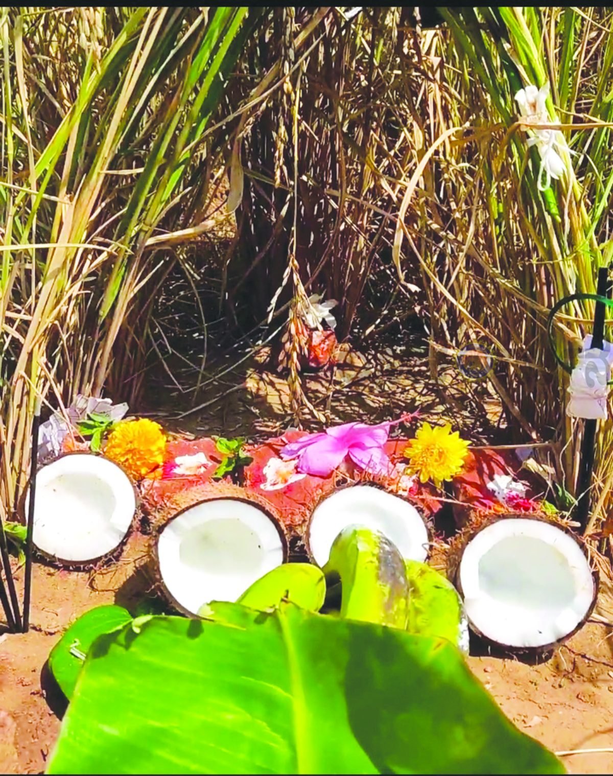 ಅ.26ರಂದು ಬೆಟಗೇರಿ ಗ್ರಾಮದಲ್ಲಿ ಸಡಗರದಿಂದ ಶೀಗಿ ಹುಣ್ಣಿಮೆ ಆಚರಣೆ