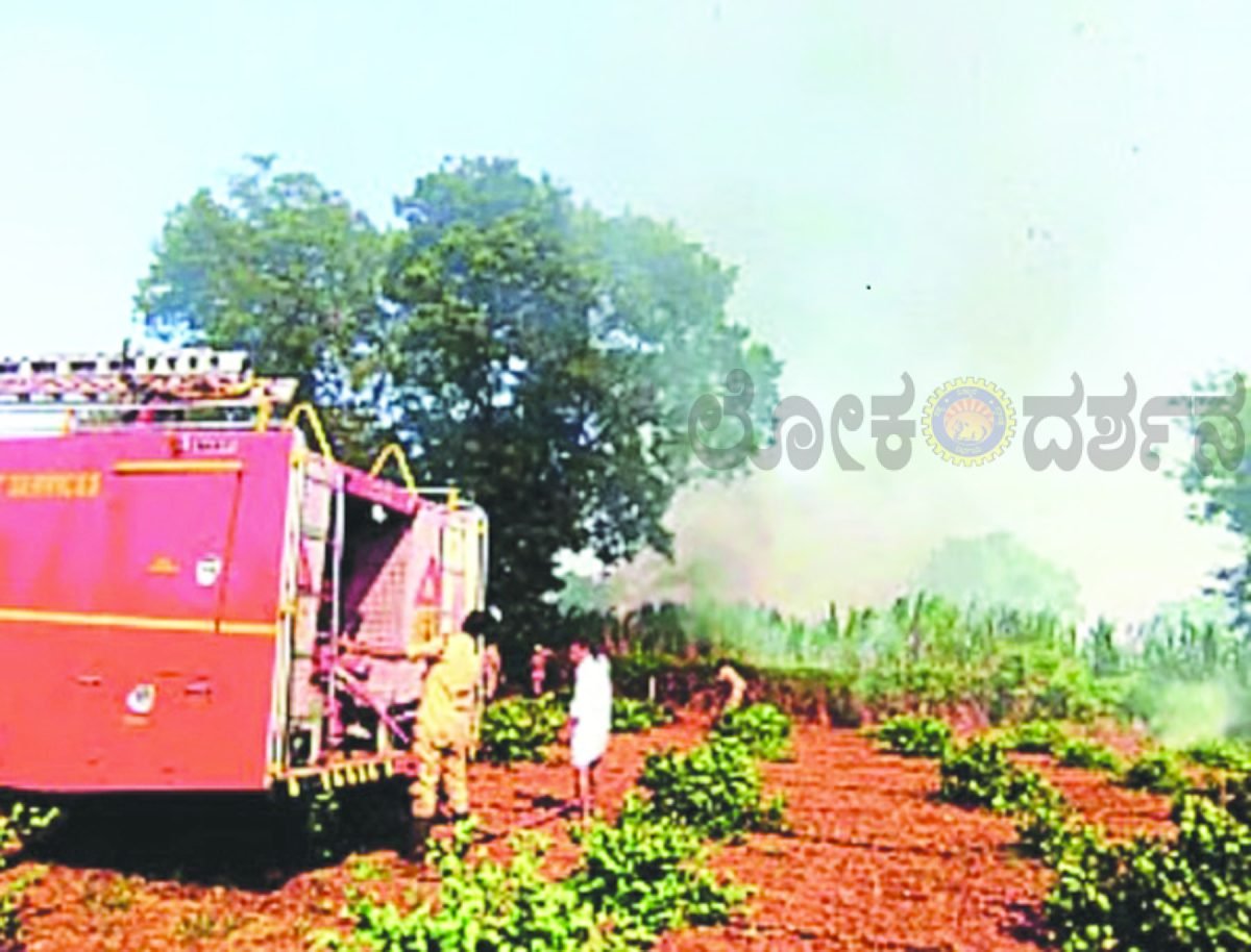 ಶಾರ್ಟ್‌  ಸರ್ಕಿಟ್ : 5ಎಕರೆ ಕಬ್ಬು ಬೆಂಕಿಗೆ ಆಹುತಿ