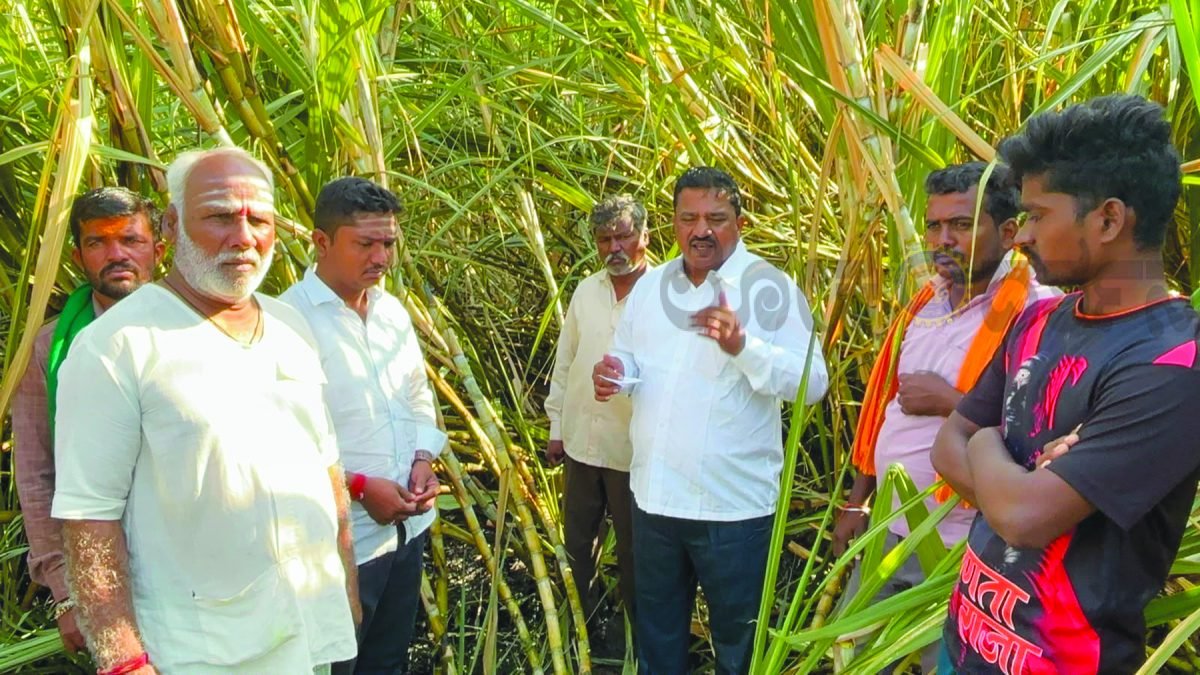 ಒಂದೇ ದಿನದಲ್ಲಿ ಐರಸಂಗ, ಹಂಜಗಿ ಗ್ರಾಮಗಳಲ್ಲಿ ಕಬ್ಬು ಬೆಂಕಿಗೆ ಆಹುತಿ