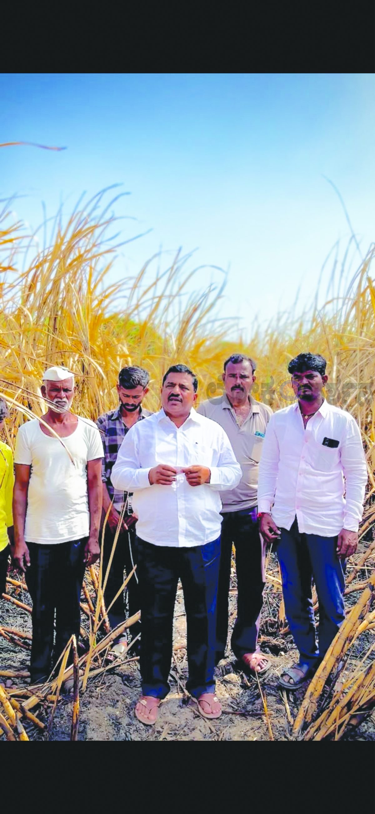 ಕಬ್ಬು ಬೆಳೆಗಾರರಿಗೆ ವಿಶೇಷ ಪ್ಯಾಕೇಜ್ ಘೋಷಿಸಿ: ಬಿ.ಡಿ. ಪಾಟೀಲ ಆಗ್ರಹ