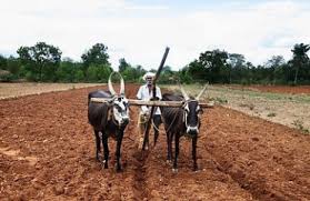 ಕೃಷಿ ಕೂಲಿಕಾರರನ್ನು ಕಡೆಗಣಿಸಿದ ಬಜೆಟ್: ಕೂಲಿಕಾರರ ಸಂಘ ಆರೋಪ 