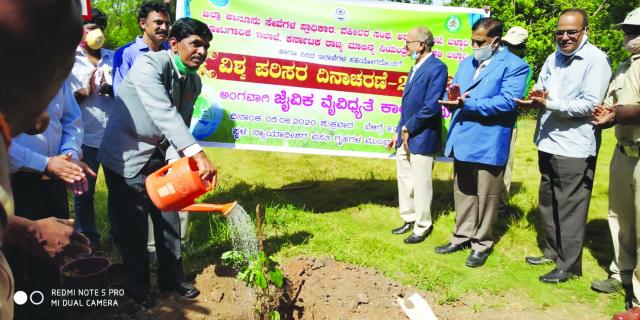 ವಿಶ್ವ ಪರಿಸರ ದಿನಾಚರಣೆ