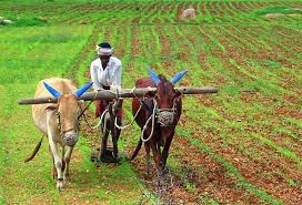 ಕೃಷಿಗೆ ಆದ್ಯತೆ, ಕಾನೂನು ಸುವ್ಯವಸ್ಥೆ ನಿಗ್ರಹಕ್ಕೆ ಕ್ರಮ: ಜಂಟಿ ಅಧಿವೇಶನದಲ್ಲಿ ರಾಜ್ಯಪಾಲ ವಜೂಭಾಯಿ ವಾಲಾ