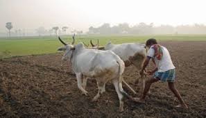 ಲಾಕ್ ಡೌನ್ ನಿಂದ ಕೃಷಿ ಮಳಿಗೆಗಳು, ಚಹಾ ಕೈಗಾರಿಕೆಗಳಿಗೆ ವಿನಾಯಿತಿ: ಕೇಂದ್ರದ ಆದೇಶ