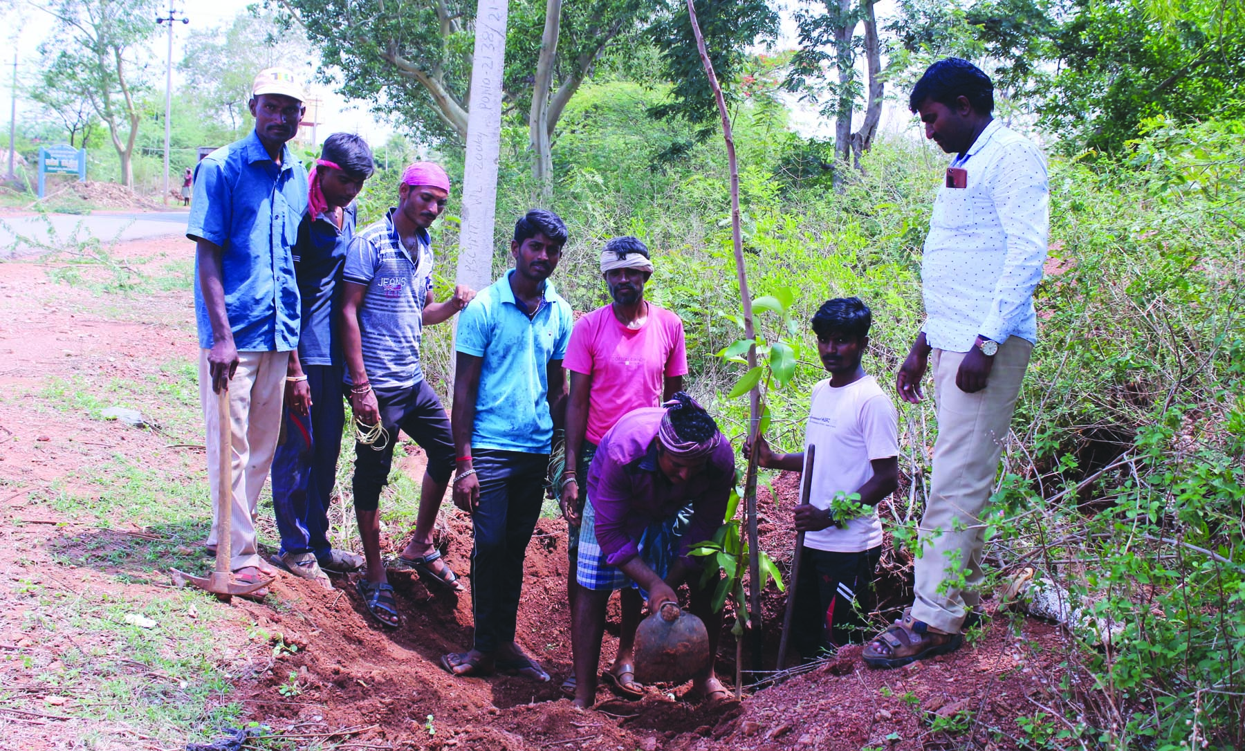 ಅರಣ್ಯ ಇಲಾಖೆಯಿಂದ ಅರ್ಲಿ ಪ್ಲಾಂಟೇಶನ್- ಹಸಿರು ಪ್ರಿಯರಿಗೆ ಸಂತಸ