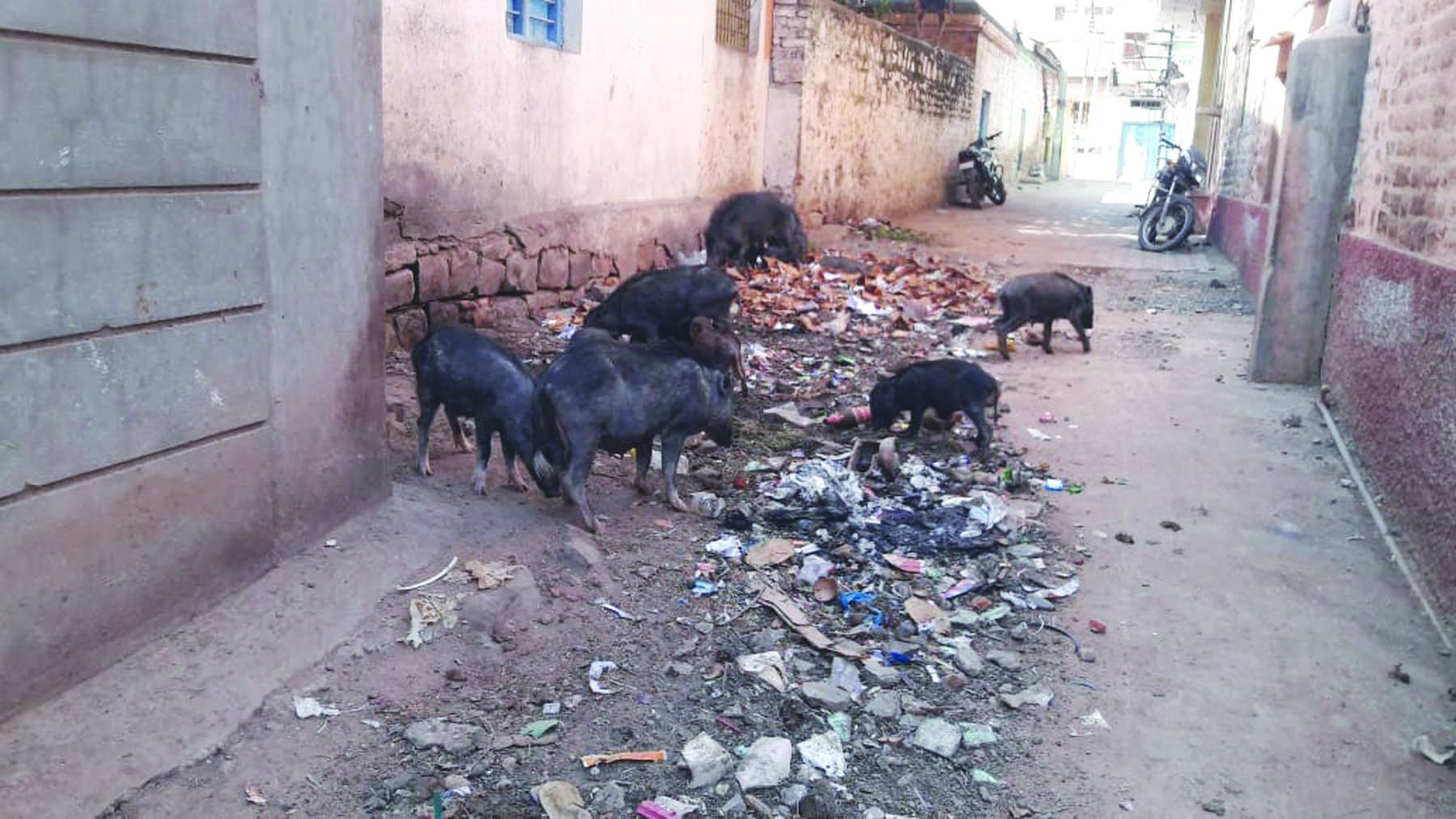 ತ್ಯಾಜ್ಯ ವಿಲೇವಾರಿ ನಿರ್ಲಕ್ಷೆ, ಇಲ್ಲ  ಆರೋಗ್ಯಕ್ಕೆ ಸುರಕ್ಷೆ 