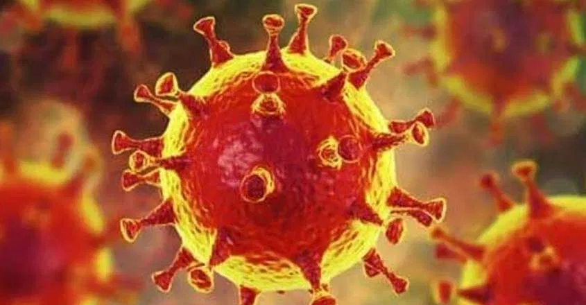 ಕೇರಳದಲ್ಲಿ 29 ಮಂದಿಗೆ ಕೂಡ ಕೋವಿಡ್ ಸೋಂಕು: 130 ಮಂದಿಗೆ ಚಿಕಿತ್ಸೆ