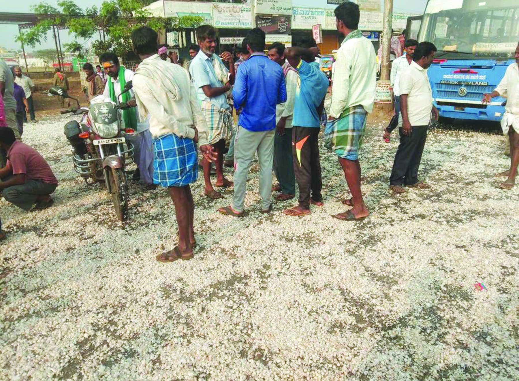 ರಾಣೇಬೆನ್ನೂರಲ್ಲಿ ಬೆಳ್ಳುಳ್ಳಿ ಬೆಲೆ ದಿಢೀರ್ ಕುಸಿತ