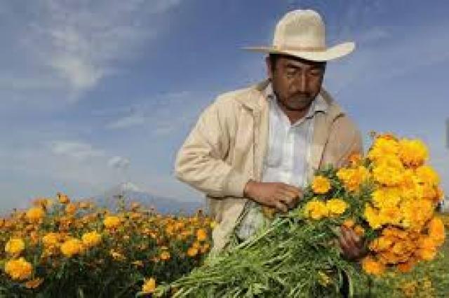 ಬಿಜೆಪಿ ಪಕ್ಷದ ಅತ್ಯಮೂಲ್ಯ ಹೂಗಳನ್ನು ಕಿತ್ತುಕೊಂಡಿದ್ದು ಸಾಕು ದೇವರೇ..