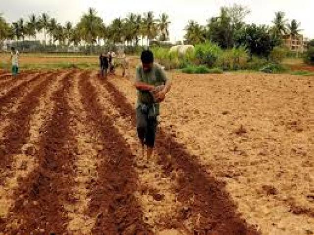 ಅಟಲ್ ಭುಜಲ್ ಯೋಜನೆಗೆ ಪ್ರಧಾನಿ ಚಾಲನೆ : ಕಡಿಮೆ ನೀರಿನ ಬೆಳೆ ಬೆಳೆಯಲು ರೈತರಿಗೆ ಸಲಹೆ 