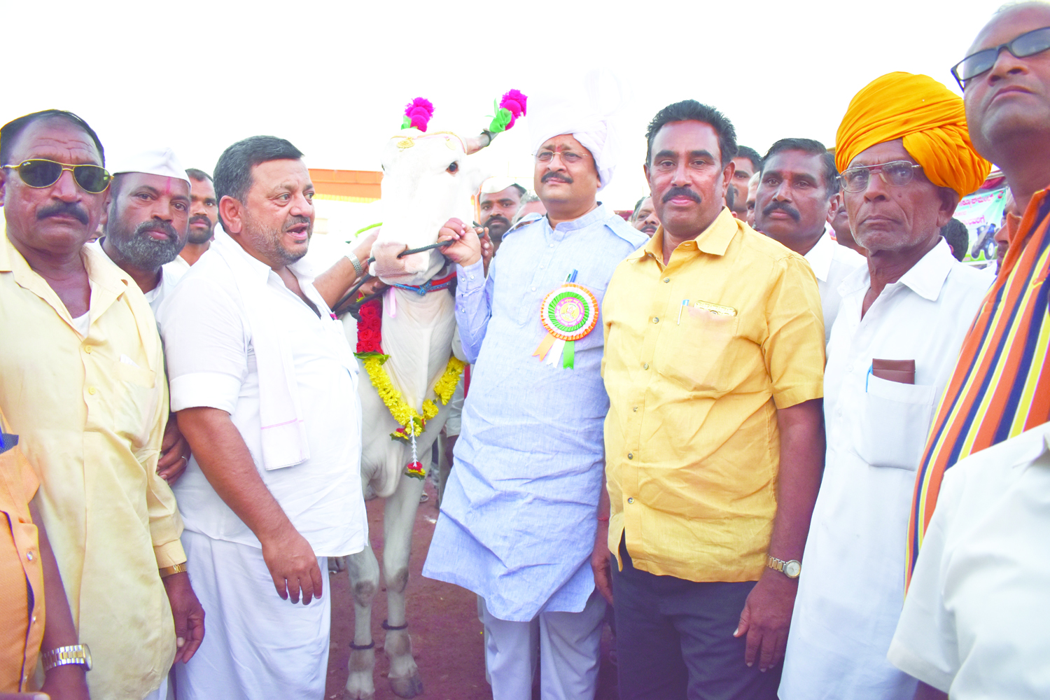 ಚಡಚಣ: ನಿರಾಳೆಯವರ ಹೋರಿಗೆ ಬಂಗಾರದ ಪದಕ