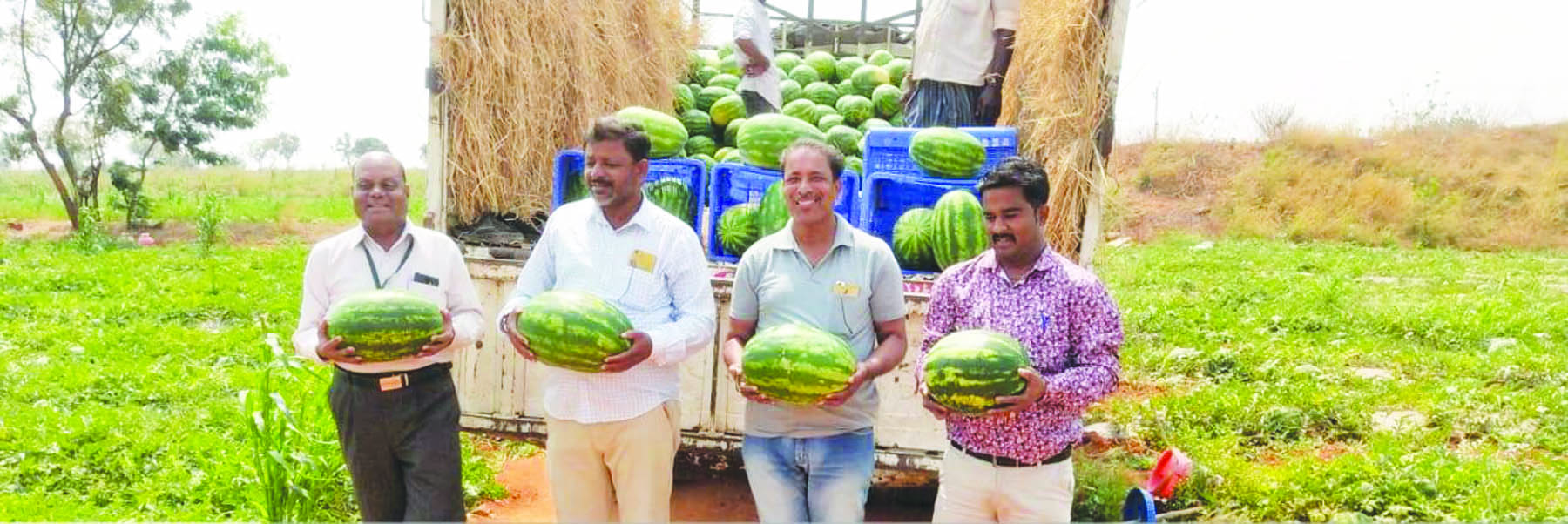 ತೋಟಗಾರಿಕೆ ಬೆಳೆಯಲ್ಲಿ ಯಶಸ್ಸು ಕಂಡ ಕುಟುಗನಹಳ್ಳಿಯ ರೈತ
