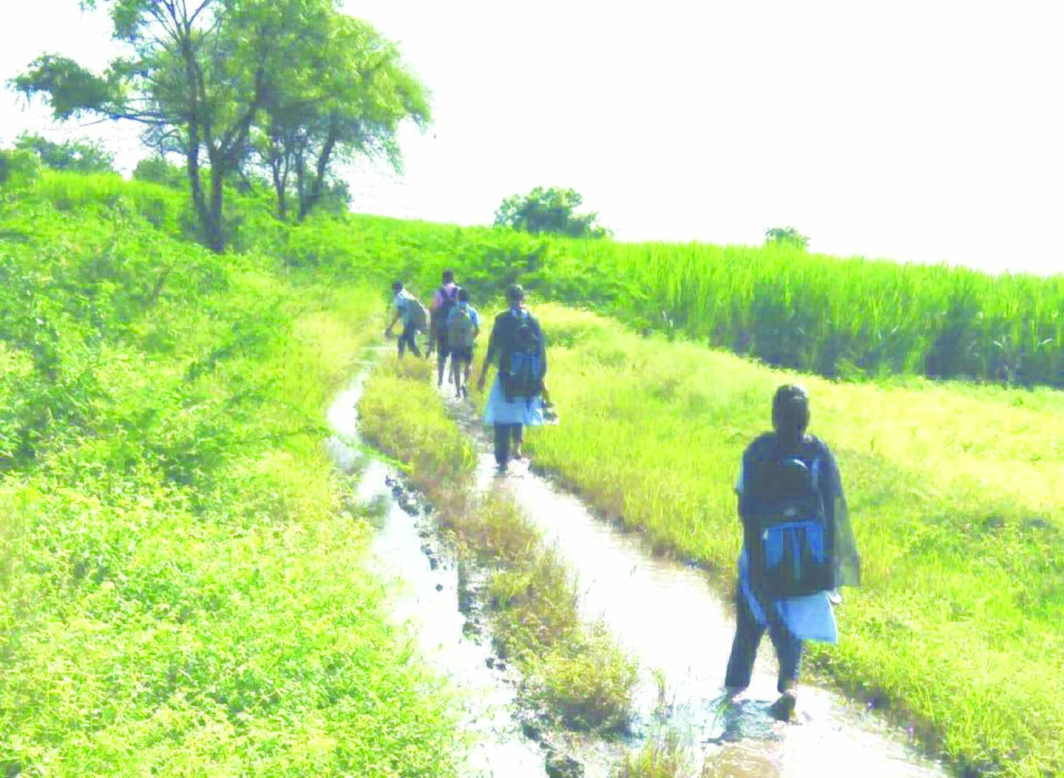 ಚಡಚಣ: ಕೆಸರು ಗದ್ದೆಯಾದ ರಸ್ತೆ ಗಮನ ಹರಿಸದ ಅಧಿಕಾರಿಗಳು