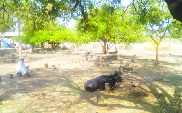 ಲಾಕ್ಡೌನ್: ಜಾನುವಾರು ಸಾಕಿದ ರೈತರಿಗೆ ನಿರಾಸೆ