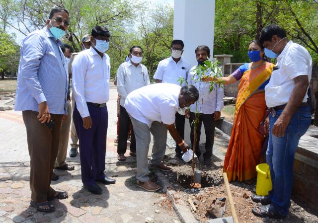  ಗಿಡನೆಟ್ಟು ನೀರುಣಿಸಿದ ಶಾಸಕ ಸೋಮಶೇಖರ ರೆಡ್ಡಿ