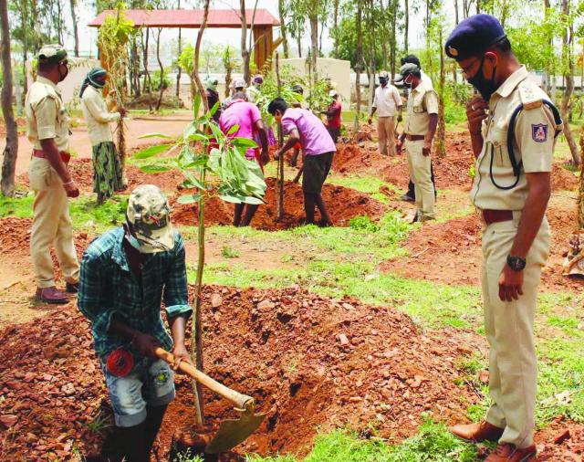 ಅರಣ್ಯ ಇಲಾಖೆಯಿಂದ ಮುಂಗಾರು ಹಂಗಾಮಿನಲ್ಲಿ 20 ಲಕ್ಷ ಸಸಿ ನೆಡುವ ಕಾರ್ಯಾರಂಭ
