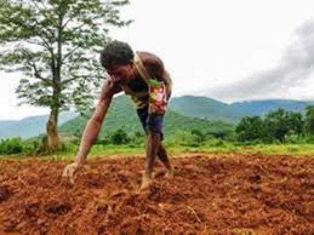 ನಿಯಮ ಉಲ್ಲಂಘನೆ: ಬೀಜ ಮಾರಾಟ ಪರವಾನಿಗೆ ಅಮಾನತು